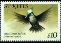 Saint Kitts 1981 - serie Uccelli: 10 $