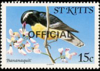 Saint Kitts 1981 - set Birds: 15 c