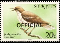 Saint Kitts 1981 - set Birds: 20 c