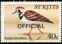 Saint Kitts 1981 - set Birds: 40 c