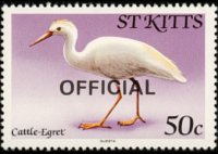 Saint Kitts 1981 - set Birds: 50 c