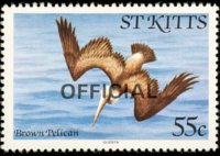 Saint Kitts 1981 - set Birds: 55 c