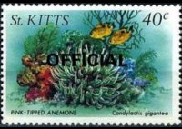 Saint Kitts 1984 - set Sealife: 40 c