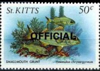 Saint Kitts 1984 - set Sealife: 50 c