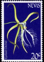 Nevis 1984 - set Flowers: 20 c