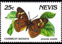 Nevis 1991 - serie Farfalle: 25 c