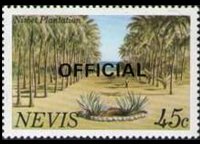 Nevis 1981 - serie Vedute: 45 c