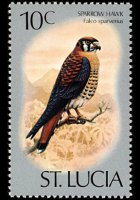 Saint Lucia 1976 - set Birds: 10 c