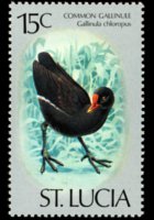 Saint Lucia 1976 - set Birds: 15 c