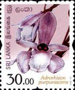 Sri Lanka 2016 - set Flowers of Sri Lanka: 30,00 Rs