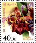 Sri Lanka 2016 - serie Fiori dello Sri Lanka: 40,00 Rs