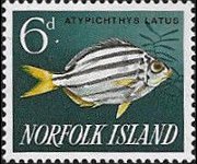 Norfolk 1962 - serie Pesci: 6 p