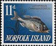 Norfolk Island 1962 - set Fish: 11 p