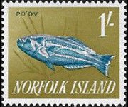 Norfolk 1962 - serie Pesci: 1 sh