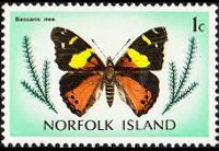 Norfolk Island 1976 - set Butterflies: 1 c