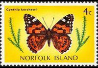 Norfolk 1976 - serie Farfalle: 4 c