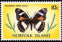 Norfolk Island 1976 - set Butterflies: 10 c