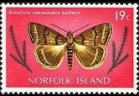 Norfolk Island 1976 - set Butterflies: 19 c