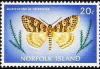 Norfolk Island 1976 - set Butterflies: 20 c