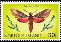 Norfolk Island 1976 - set Butterflies: 30 c