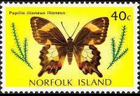 Norfolk Island 1976 - set Butterflies: 40 c