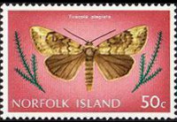 Norfolk Island 1976 - set Butterflies: 50 c