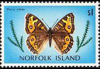 Norfolk Island 1976 - set Butterflies: 1 $