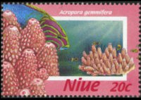 Niue 1996 - serie Coralli: 20 c