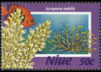 Niue 1996 - serie Coralli: 50 c