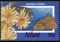 Niue 1996 - serie Coralli: 70 c