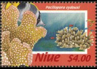 Niue 1996 - serie Coralli: 4 $