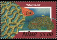 Niue 1996 - set Coral: 5 $