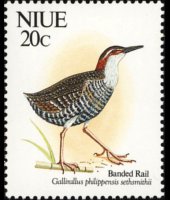 Niue 1992 - set Birds: 20 c