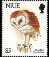 Niue 1992 - serie Uccelli: 5 $