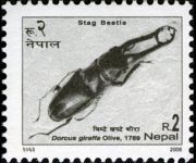 Nepal 2006 - serie Insetti: 2 r