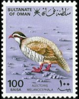 Oman 1982 - serie Flora e fauna: 100 b