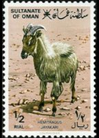 Oman 1982 - serie Flora e fauna: ½ r