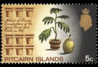 Isole Pitcairn 1969 - serie Soggetti vari: 5 c