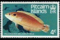 Isole Pitcairn 1984 - serie Pesci: 4 c