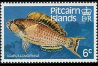 Isole Pitcairn 1984 - serie Pesci: 6 c