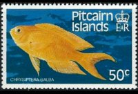 Isole Pitcairn 1984 - serie Pesci: 50 c