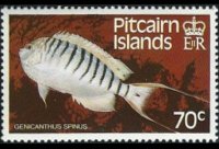 Isole Pitcairn 1984 - serie Pesci: 70 c