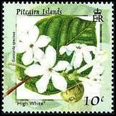 Isole Pitcairn 2000 - serie Fiori: 10 c