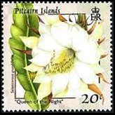 Isole Pitcairn 2000 - serie Fiori: 20 c
