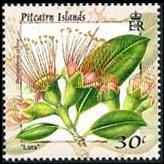Isole Pitcairn 2000 - serie Fiori: 30 c