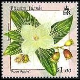 Isole Pitcairn 2000 - serie Fiori: 1 $