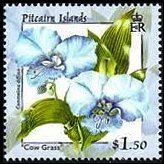 Isole Pitcairn 2000 - serie Fiori: 1,50 $