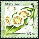 Isole Pitcairn 2000 - serie Fiori: 3 $