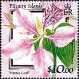 Isole Pitcairn 2000 - serie Fiori: 10 $