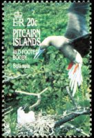 Isole Pitcairn 1995 - serie Uccelli: 20 c